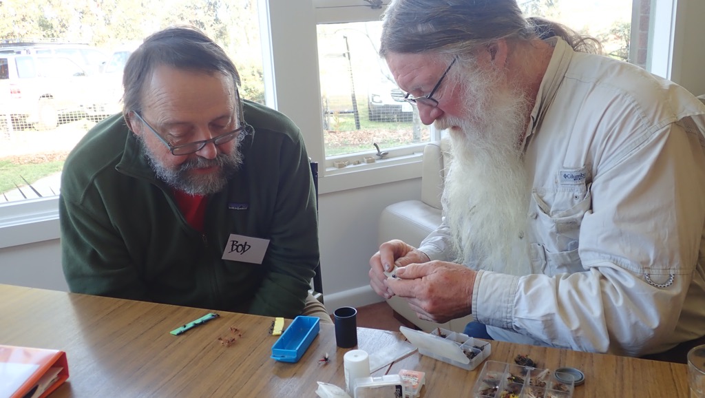 Hairy and Bob talk flies