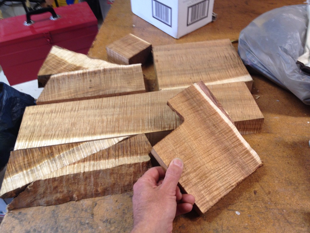 Fiddleback blackwood for reelseats and landing net handles